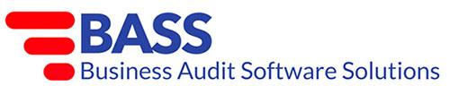 Business Auditing Software Solutions Logo